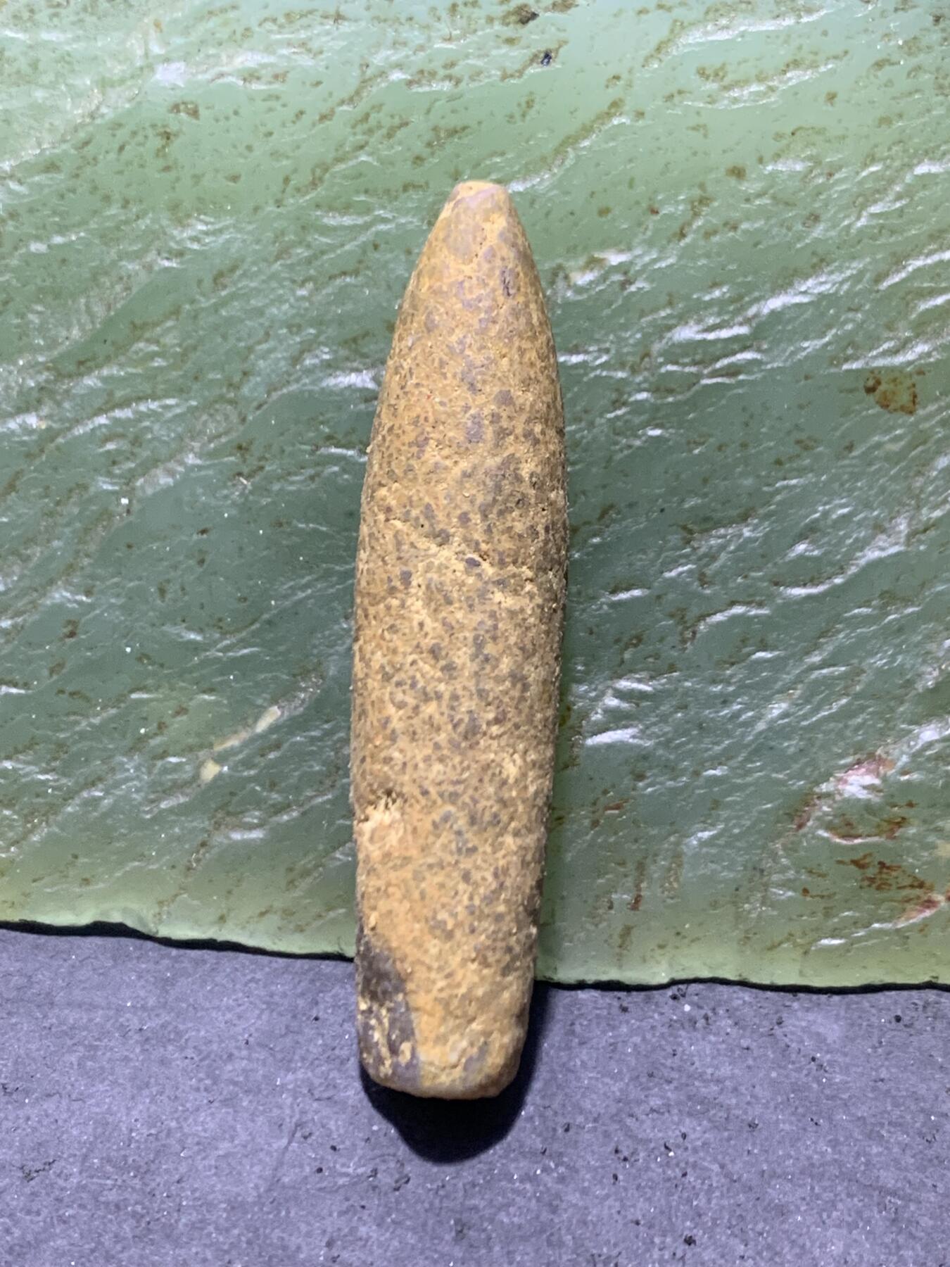 精美天然箭石震笔石震旦角石喇叭角石古生物化石原石一颗，
