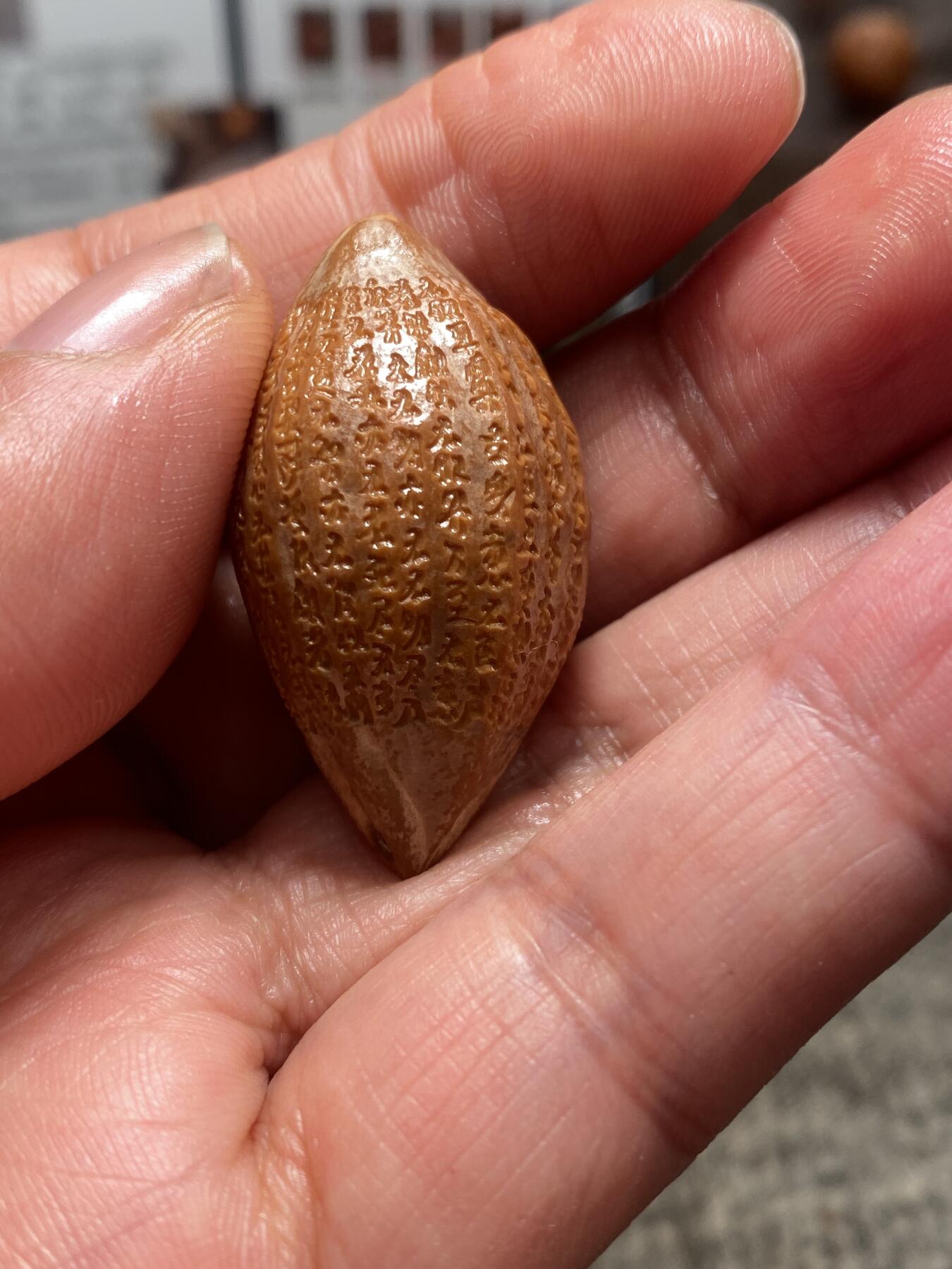 中国电影频道巜博览江苏》，百度《匠人百科》推荐雕刻师王红秋老师核雕作品新年福利 福利苏工核雕纯手工雕刻，二花般若，市场罕见，立体感十足，满工尺寸2。2x3。85喜欢的来价格不贵