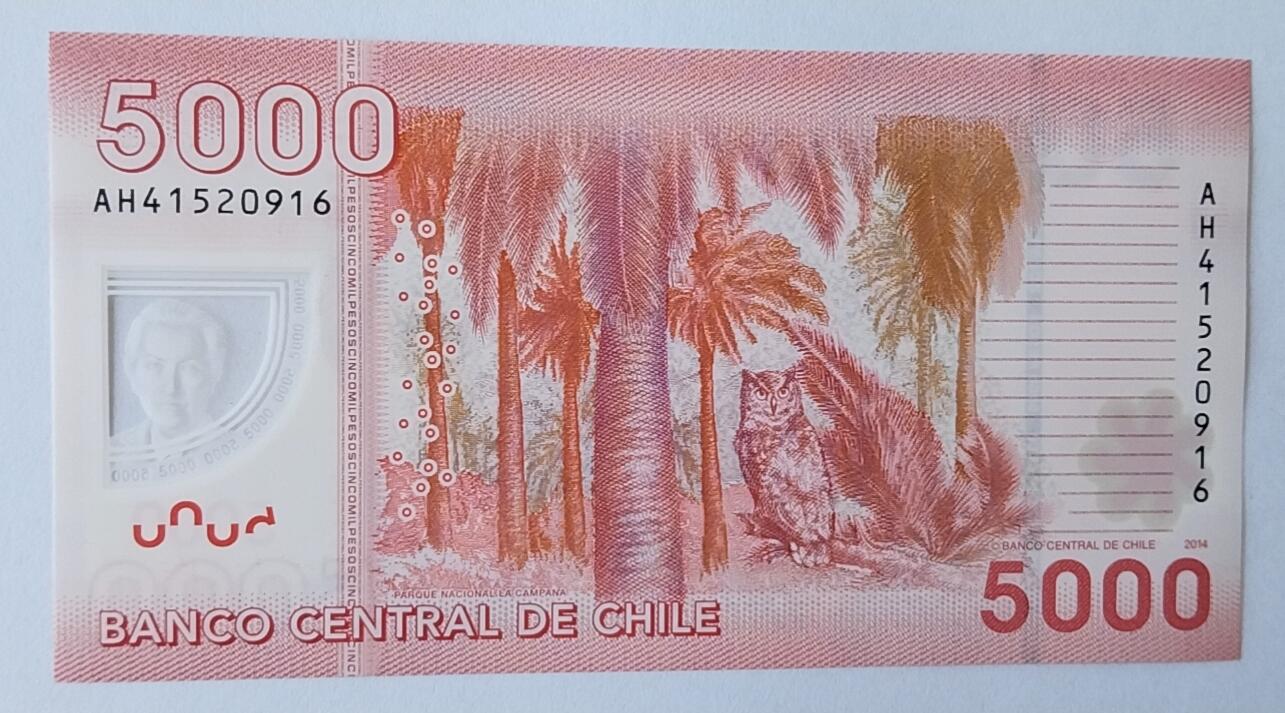 天和轩精品钱币第53场 全新UNC  智利5000塑料钞