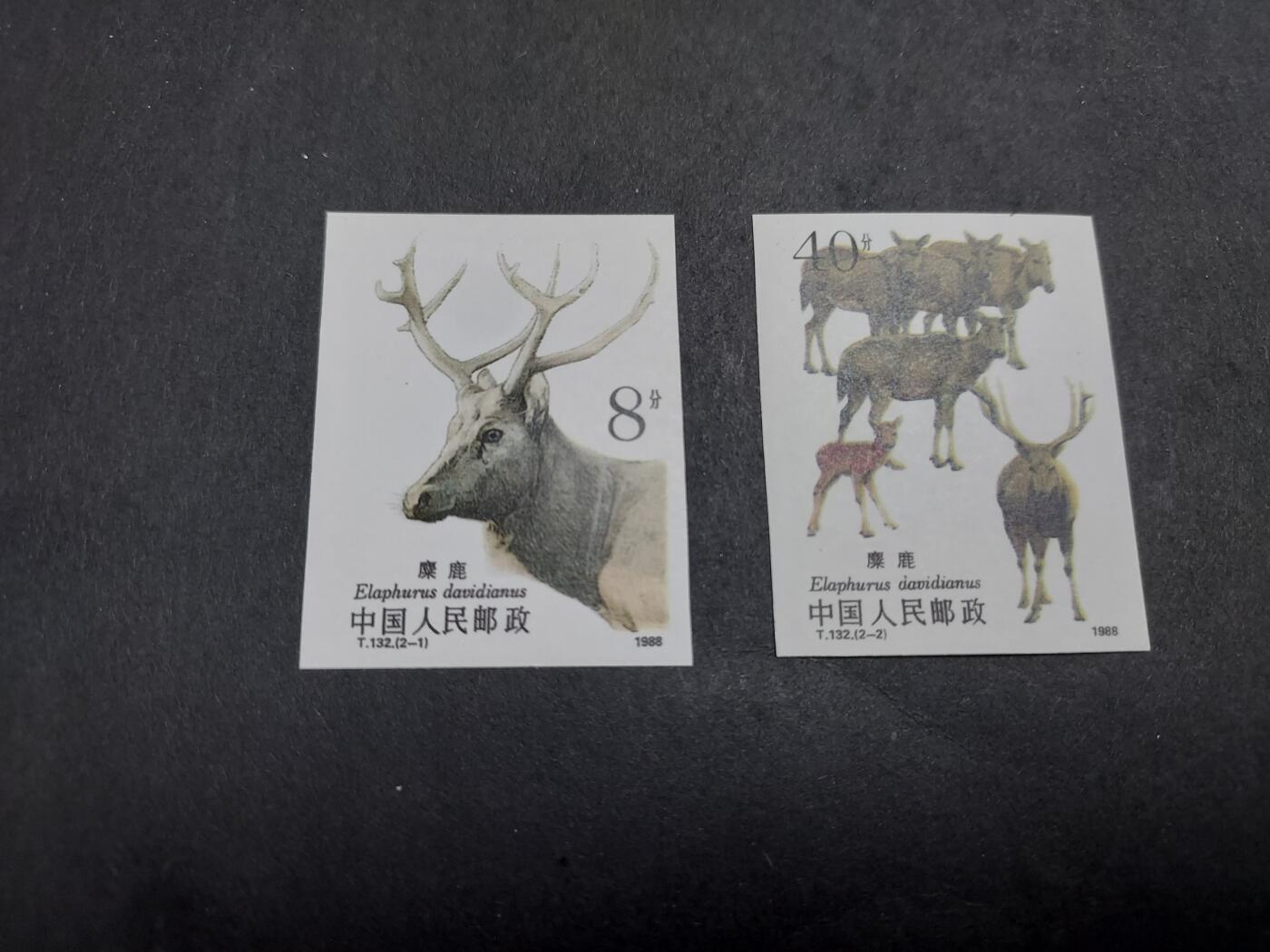 理想集藏/博彦收藏 1月11日邮票专场 T132 无齿 新全 全新