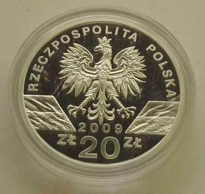 【币将精彩】世界钱币拍卖拍卖（2026-5-6） 波兰2009年绿色蜥蜴纪念银币  面值25兹罗提，925银28克，直径38.6毫米。