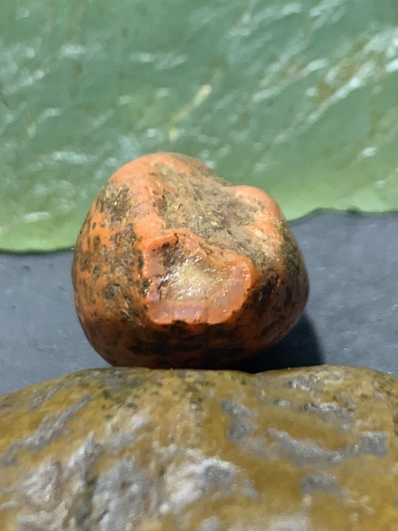 精美红皮柿子红原皮开窗料南红玛瑙原石一颗