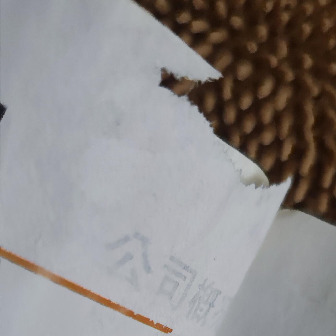 01月06日 世界币章