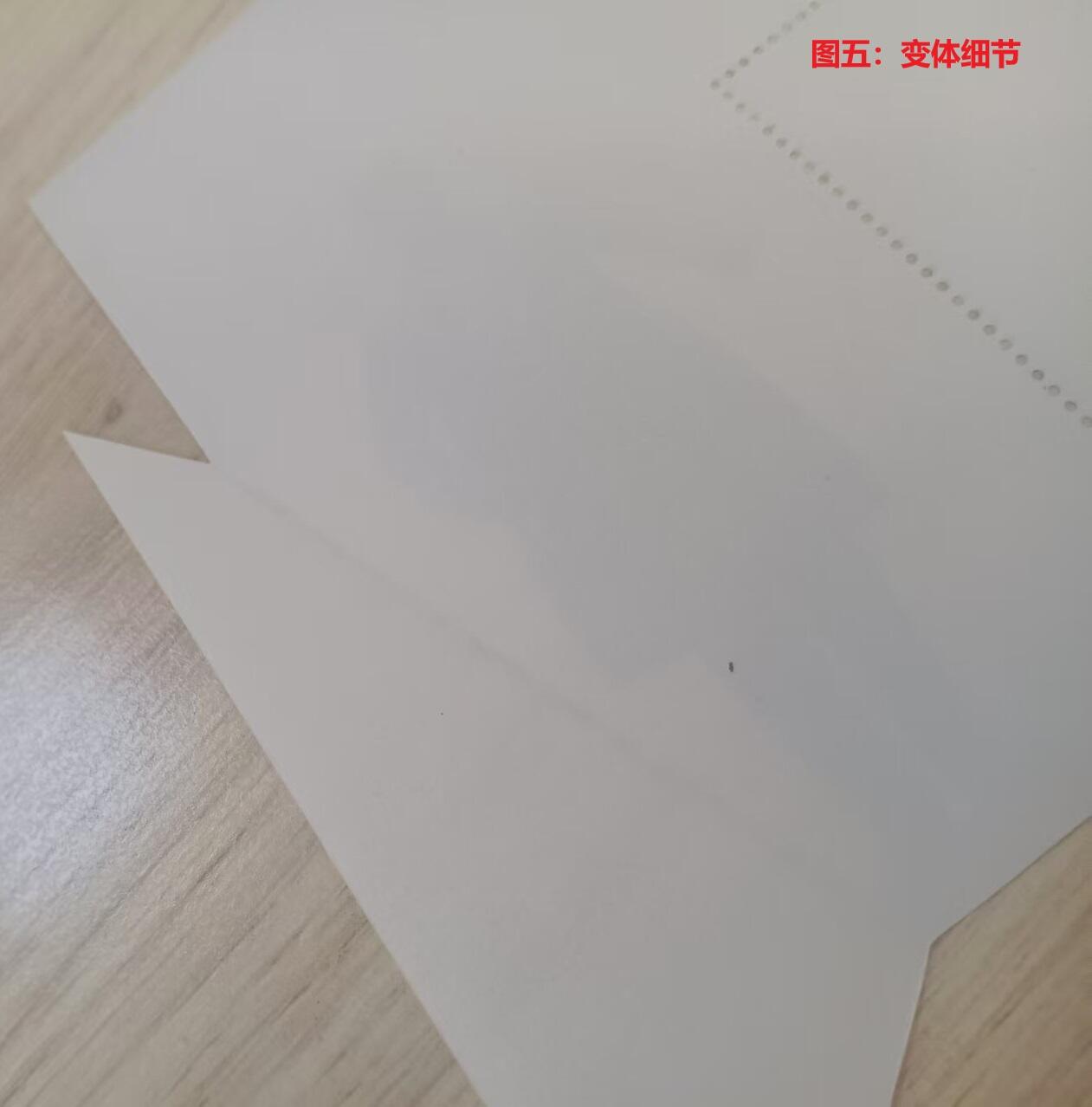 伪错变体 —— 人为变造小型张，澳门，天下为公小型张福耳  （店内编号155）