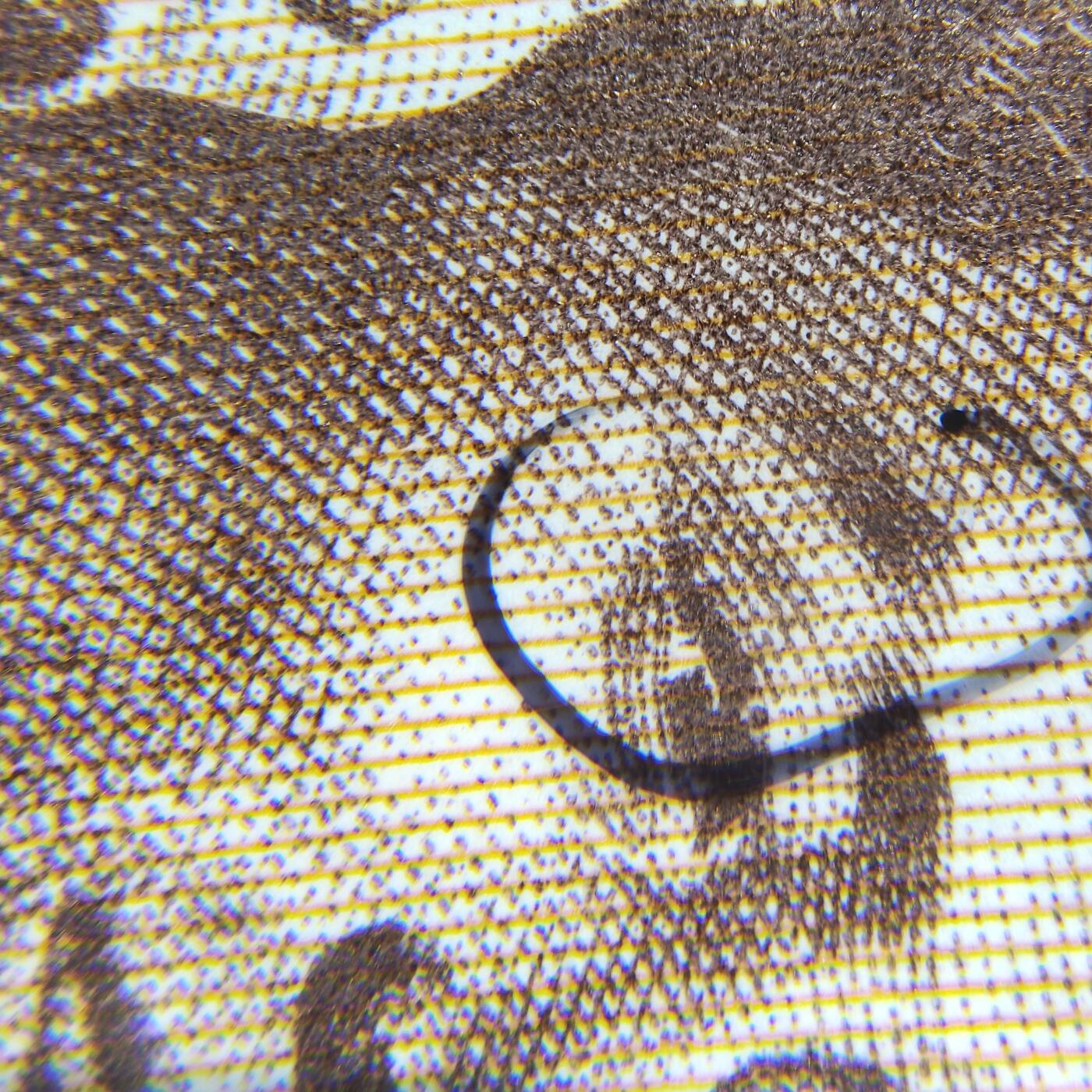 8006，瑕疵，漏印，字变体，套装，漏墨 套装净墨框，五虎上将，至尊错版，九同天王配，RU21391350五张