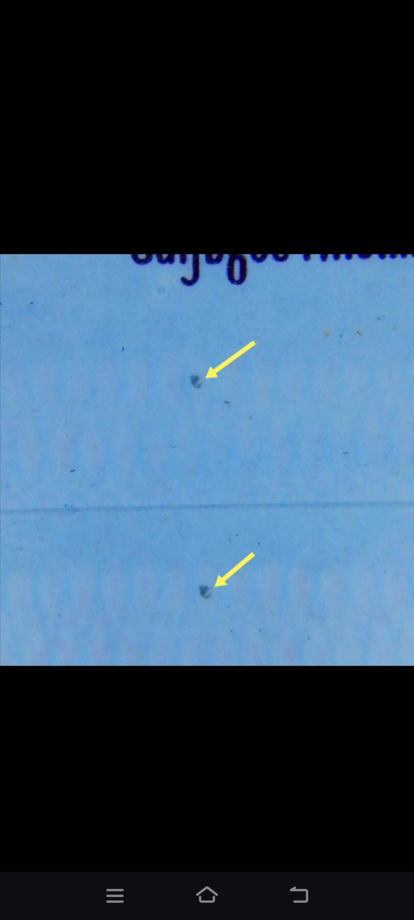 8006，瑕疵，漏印，字变体，套装，漏墨 UG71560401标十，国徽大漏印，倒七巧大五福，蓝色漏墨，鱼钩民，一角微微油无斑