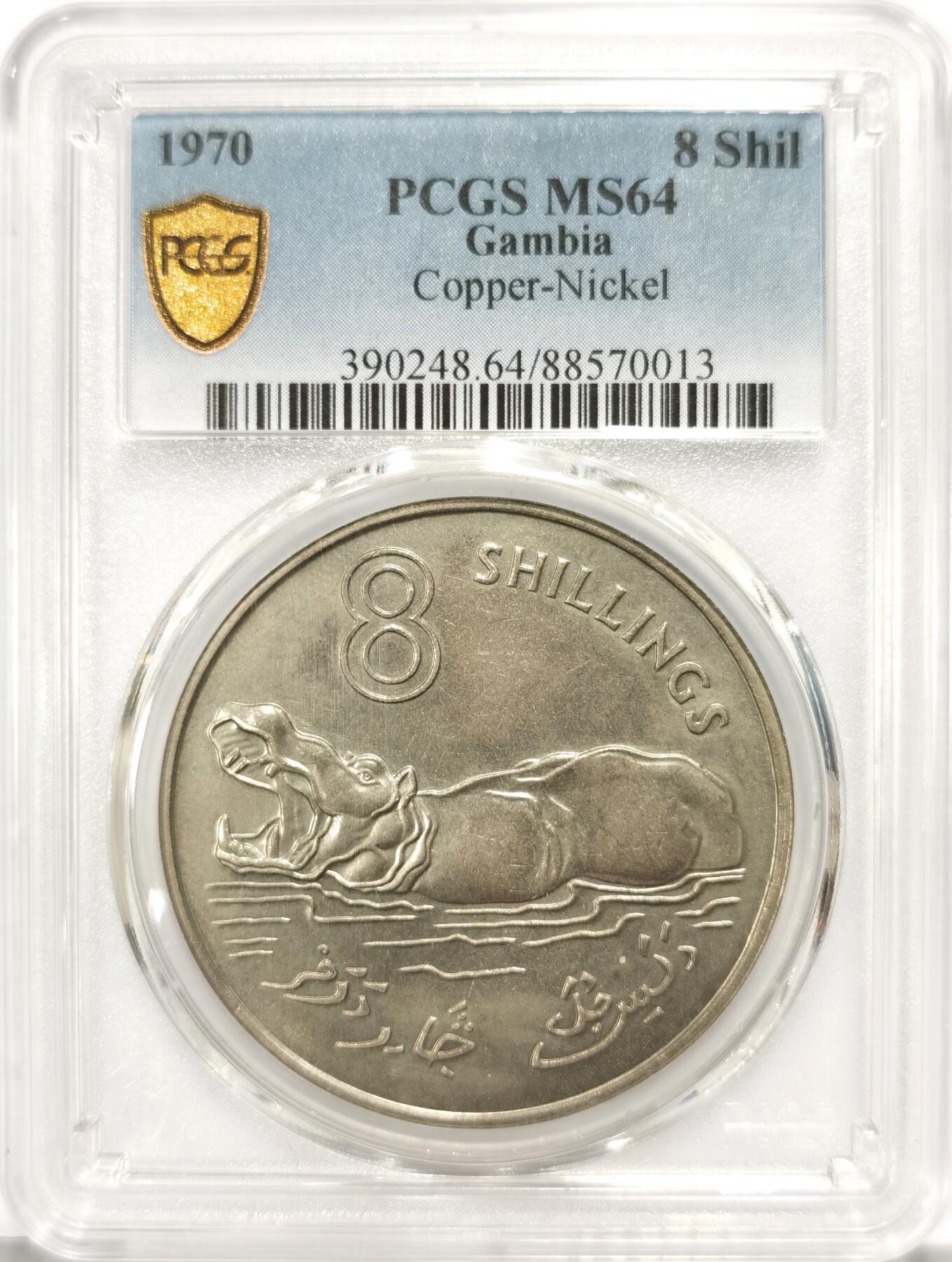 博洋堂世界钱币拍卖第107期（全场包邮） PCGS MS64 冈比亚1970年8先令，经典大河马，稀有面值