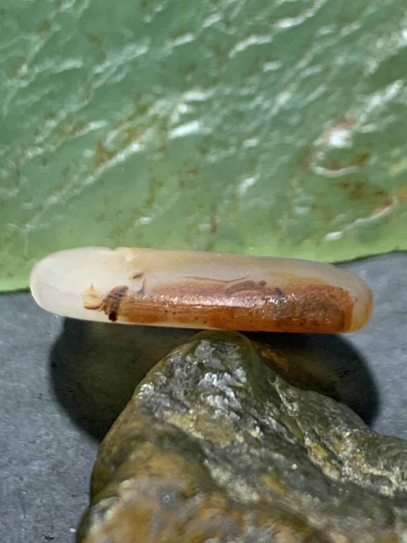 精美亚光高玉化巴西玛瑙手工俏色巧雕雄鹰吊坠一个！