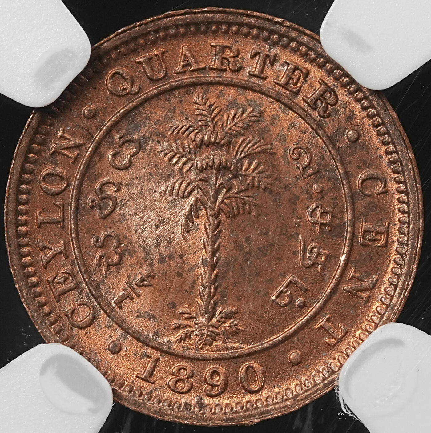 修遠堂世界钱币第五十四期 全场包邮 NGC MS64RB 1890年英属锡兰1/4分铜币