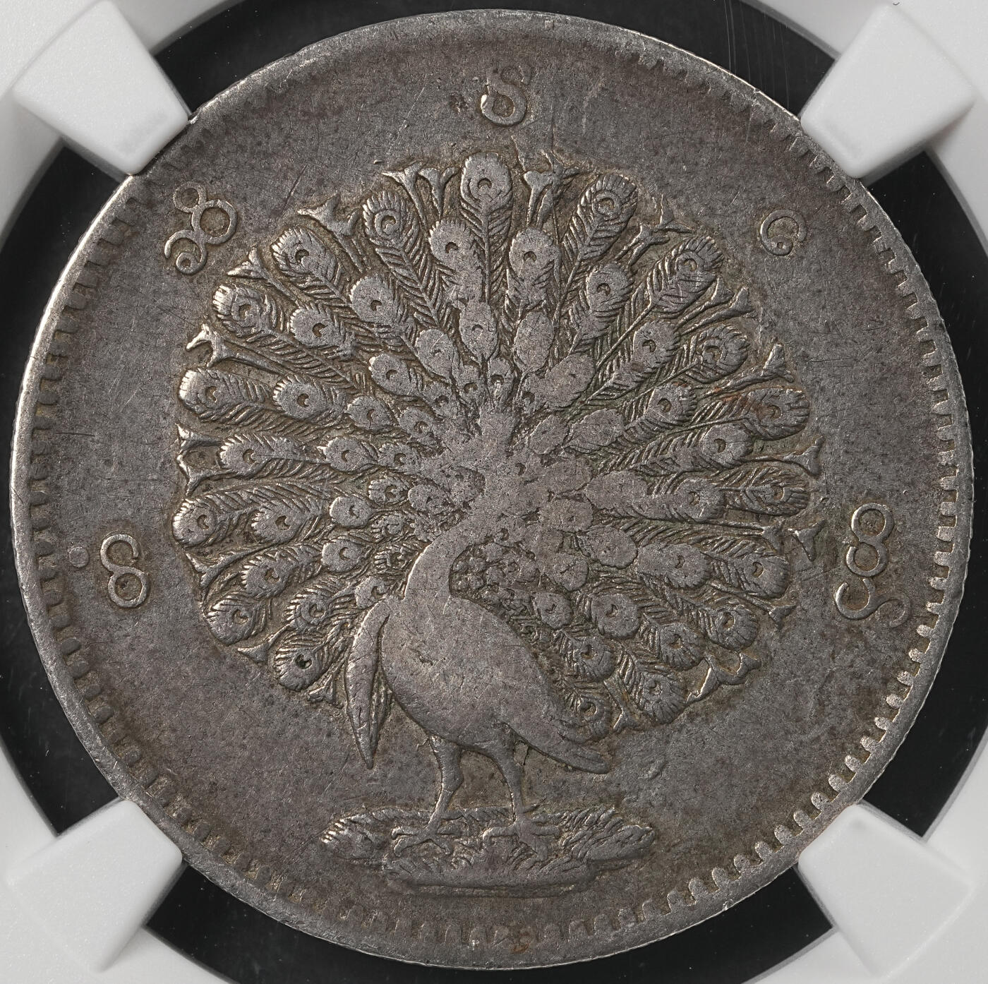修遠堂世界钱币第五十四期 全场包邮 NGC VF35 1852年缅甸孔雀KYAT银币