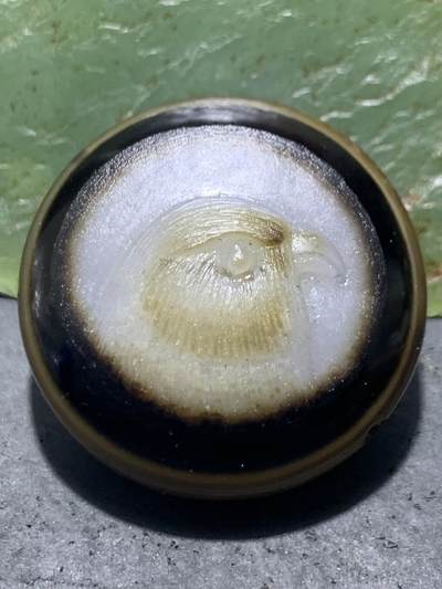 精品药师玛瑙手工雕刻雄鹰板珠（背云）一颗。 - 精品药师玛瑙手工雕刻雄鹰板珠（背云）一颗。
