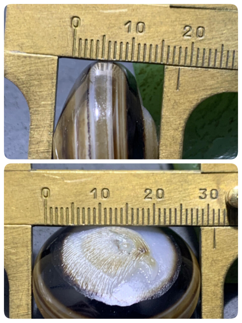 精品药师玛瑙手工雕刻雄鹰板珠（背云）一颗。