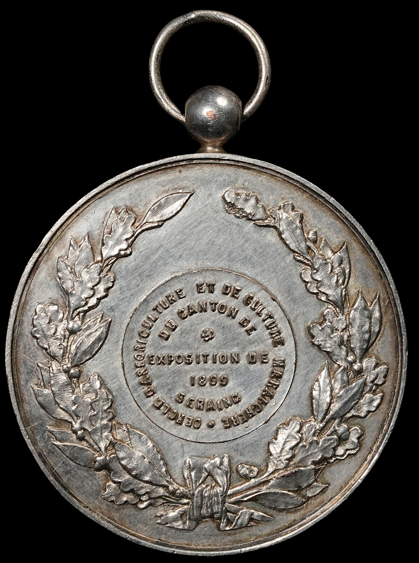 修遠堂世界钱币第五十四期 全场包邮 1899年比利时章 51.50mm，55g
