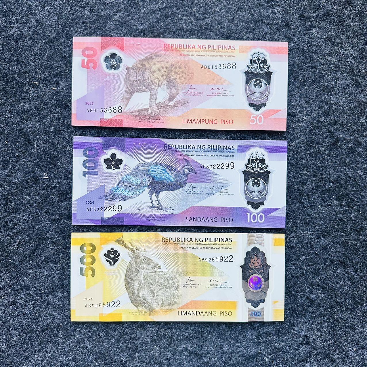 🇵🇭2502¥¥菲律宾2024-2025年50-100-500比索塑料钞，无47