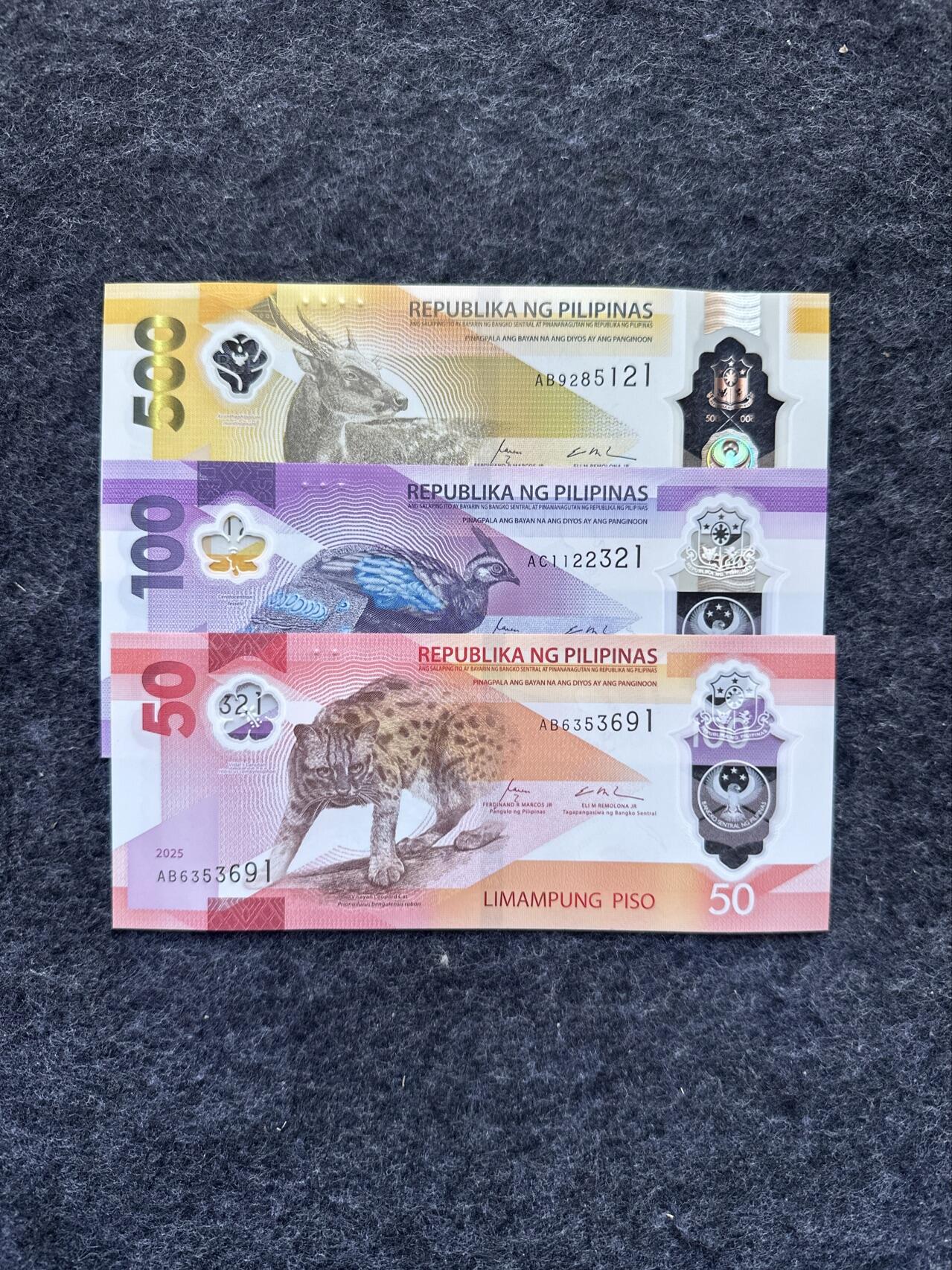🇵🇭2502¥¥菲律宾2024-2025年50-100-500比索塑料钞，无47