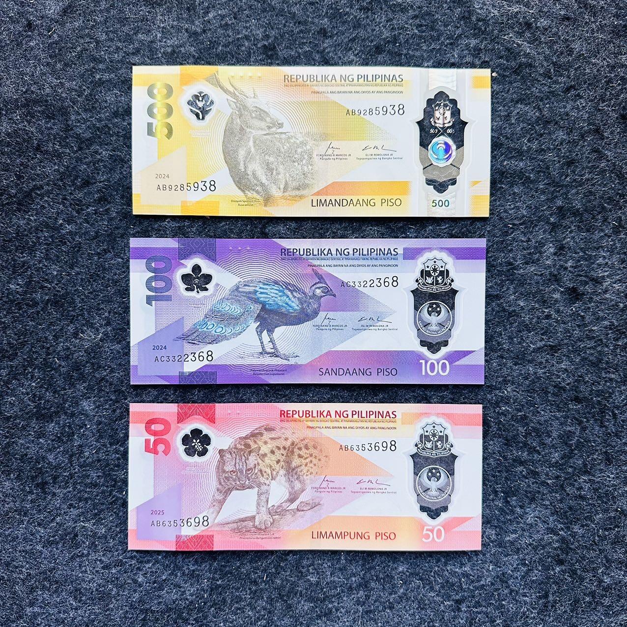 🇵🇭2502¥¥菲律宾2024-2025年50-100-500比索塑料钞，无47