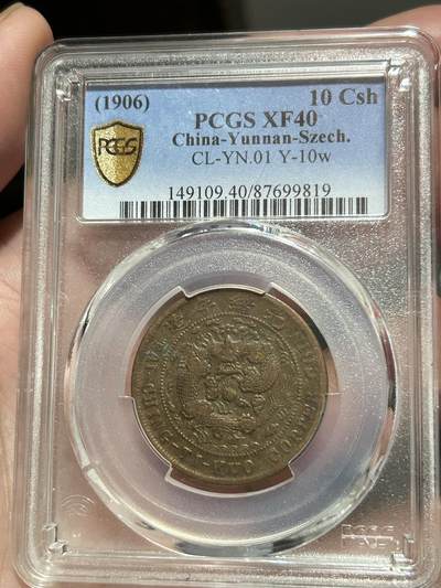 PCGS评级XF40～大清中心川滇十文 - PCGS评级XF40～大清中心川滇十文