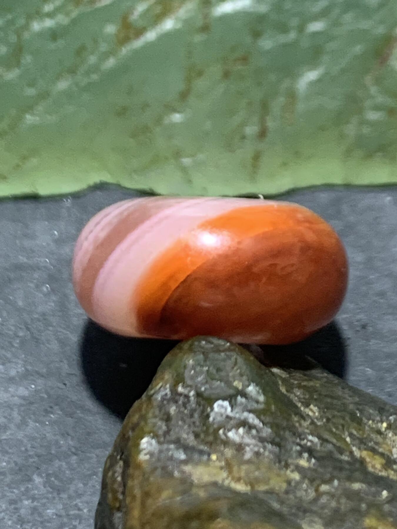 精美川料南红玛瑙面包圈卡环(跑环)一个，，