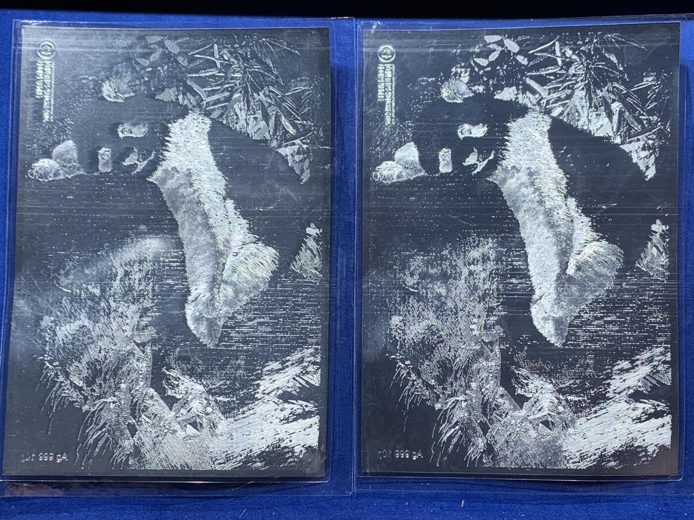 《竞宝斋》第347场 周日，周一，周二  3场连拍 （全场包邮） 熊猫版画一对，Ag999 10g×2，中国印钞造币发行，含纯银20g，设计精美
