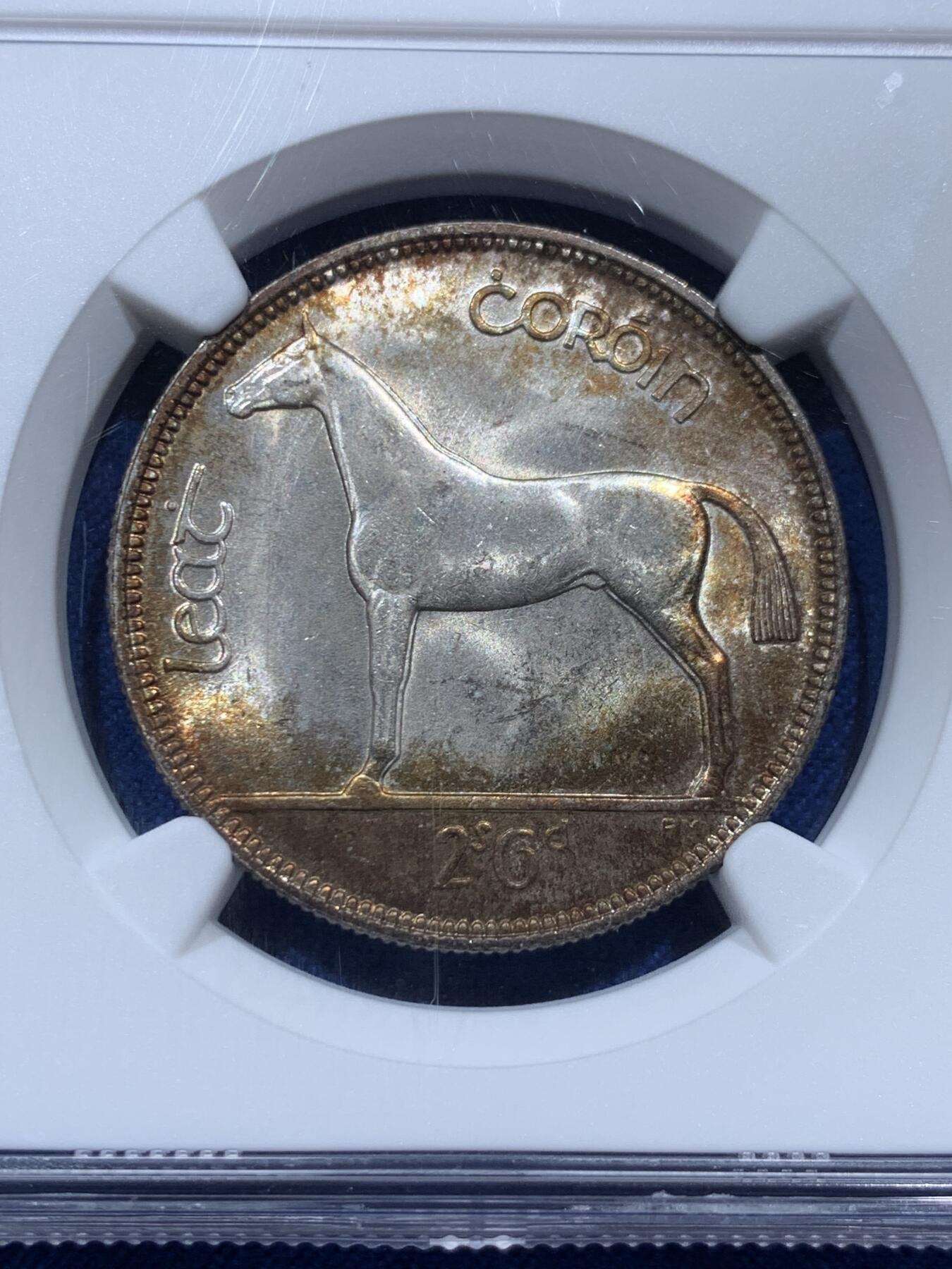 《竞宝斋》第347场 周日，周一，周二  3场连拍 （全场包邮） NGC MS2-64 爱尔兰 1928年 自由邦首版动物八枚套 三银二镍三铜