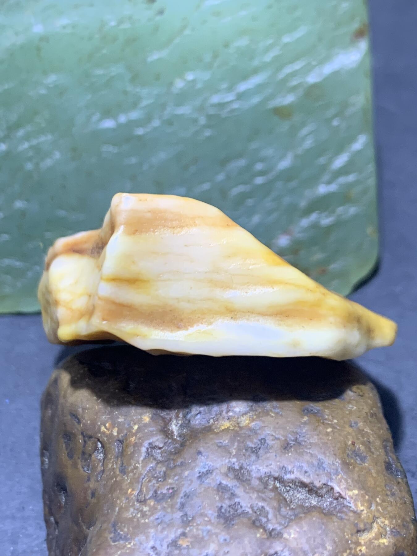放福利，天然精品高玉化沙漠漆原石一颗！