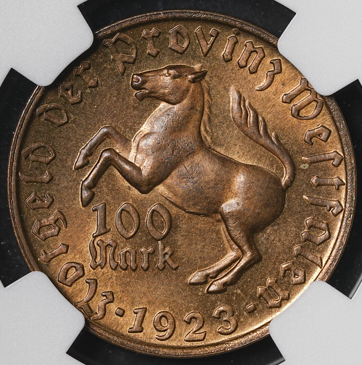 修遠堂世界钱币第五十五期 全场包邮 NGC MS64RB 1923年德国紧急时期威斯特法伦100马克马币 少见女人头版