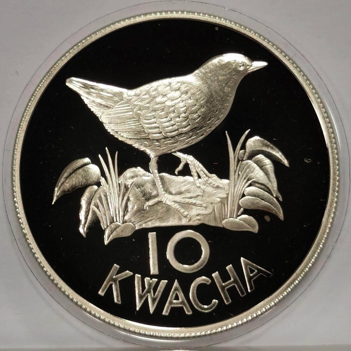 博洋堂世界钱币拍卖第108期（全场包邮） 赞比亚1986年世界野生动物基金会系列白翅燕尾10克瓦查精制银币，直径38.6mm，重27.22g，925银，发行量2.5万枚。PROOF精制币，币面清爽干净又漂亮，UNC全新未流通，状态极佳。