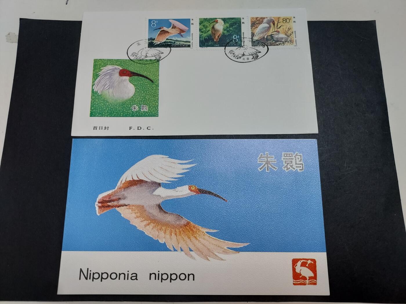 理想集藏/博彦收藏 1月22日邮票专场 朱鹮首日封/盖销邮折 一组
