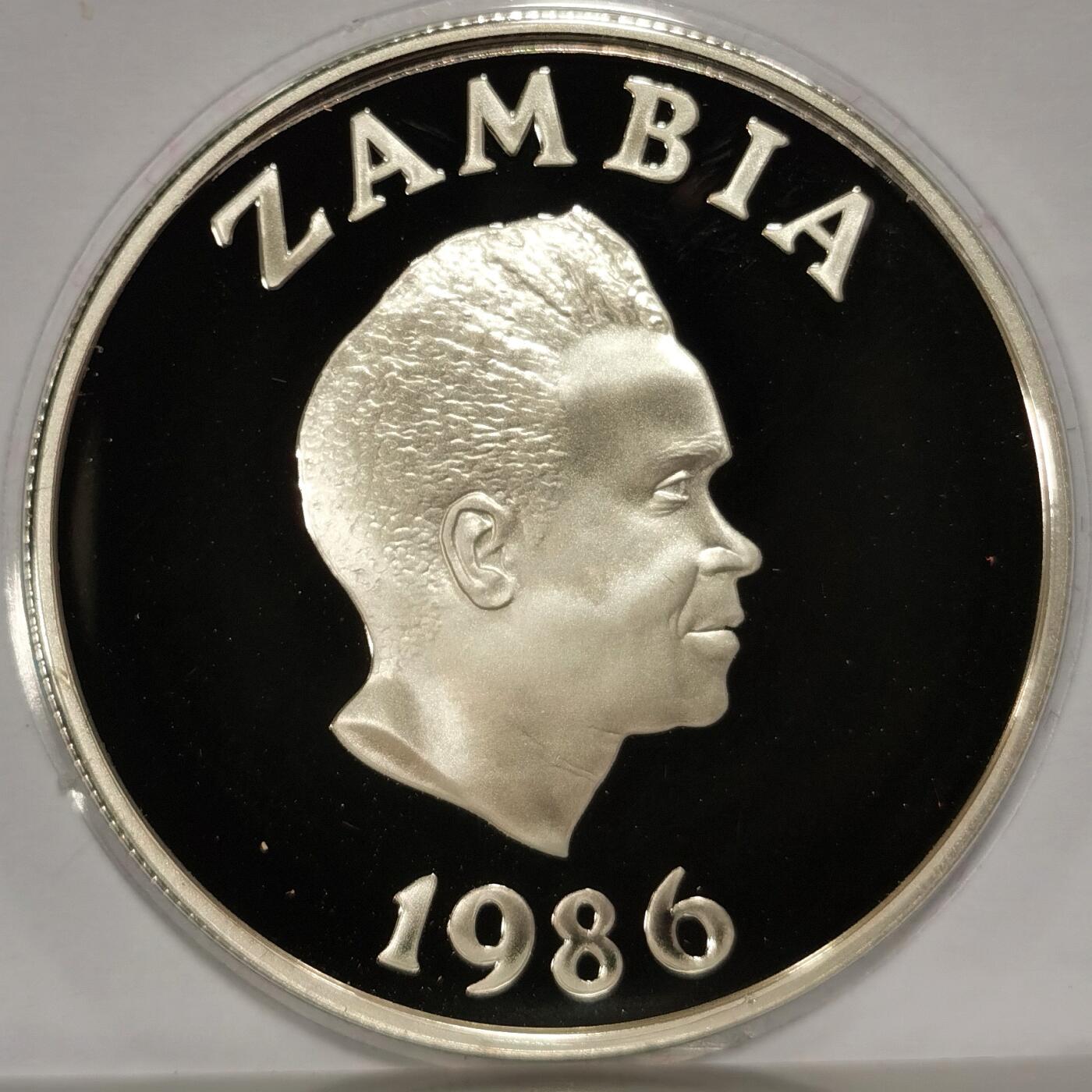 博洋堂世界钱币拍卖第108期（全场包邮） 赞比亚1986年世界野生动物基金会系列白翅燕尾10克瓦查精制银币，直径38.6mm，重27.22g，925银，发行量2.5万枚。PROOF精制币，币面清爽干净又漂亮，UNC全新未流通，状态极佳。