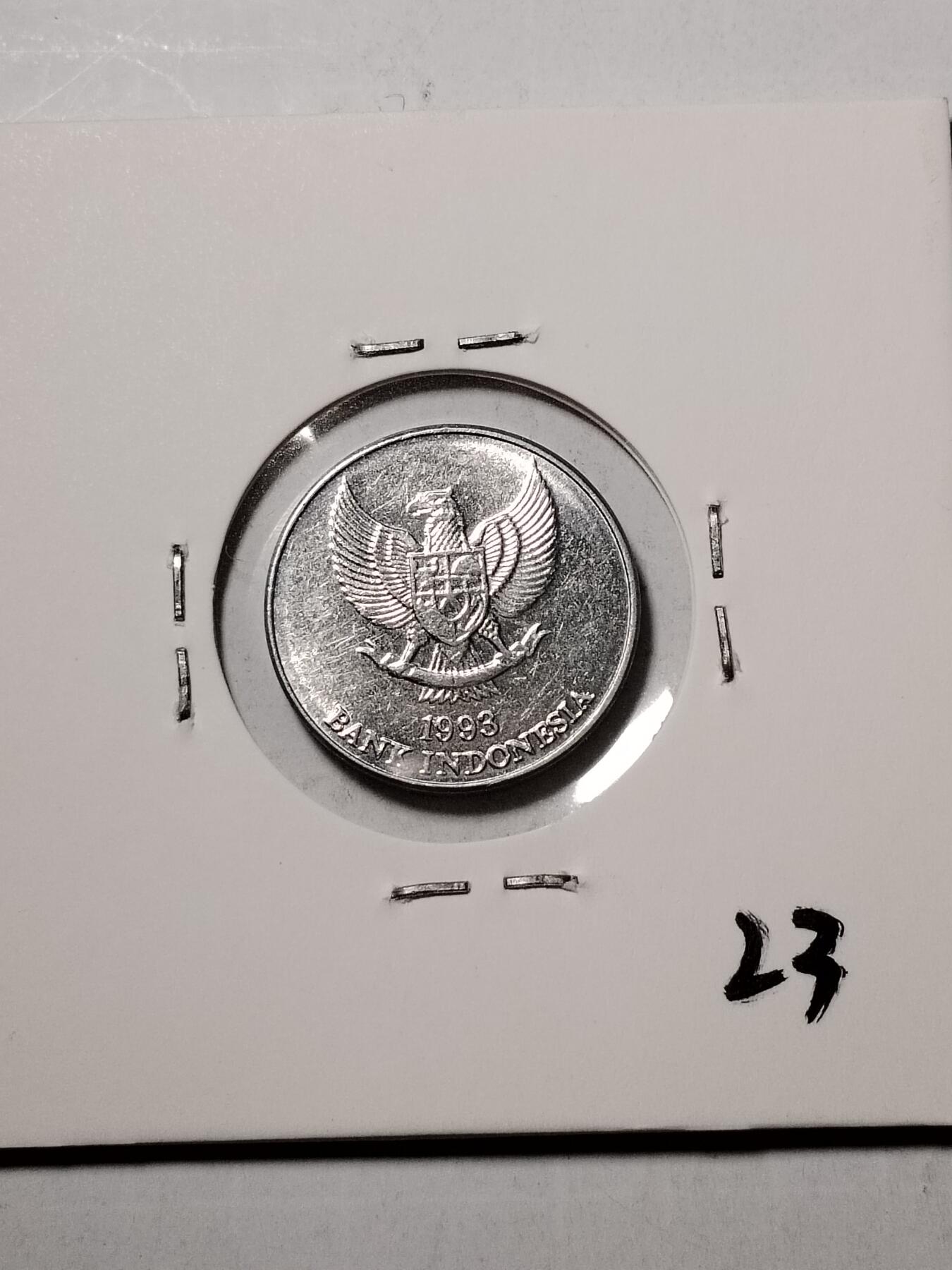 20250116 印度尼西亚