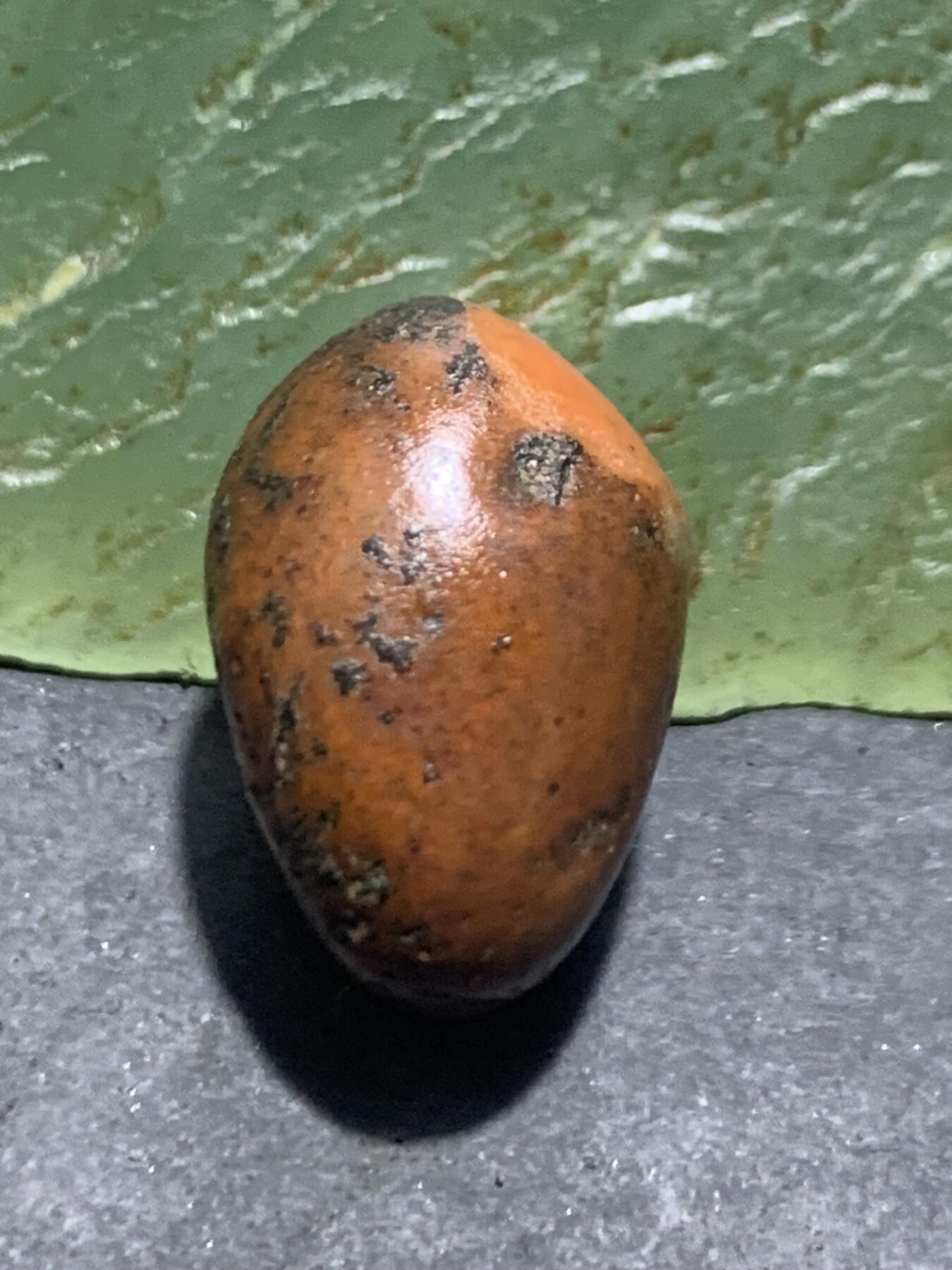 精美红皮原皮开窗料南红玛瑙原石一颗，