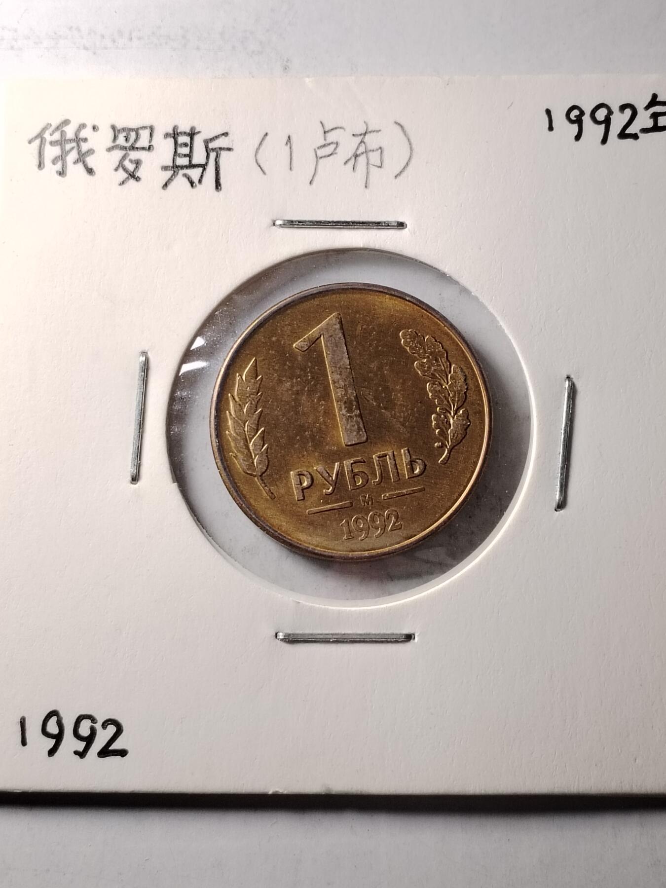20250116 俄罗斯