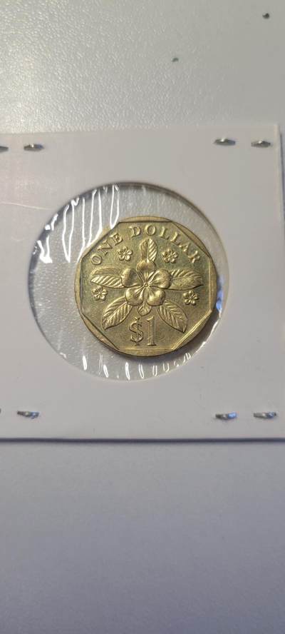 2025第二期 新加坡1989年1元