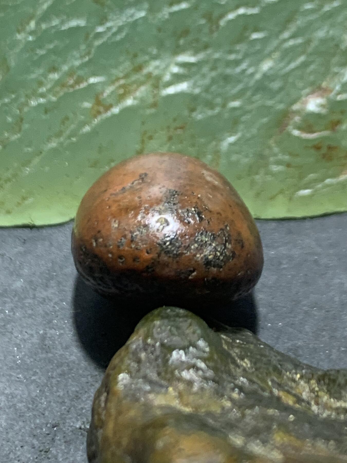 精美红皮原皮开窗料南红玛瑙原石一颗，