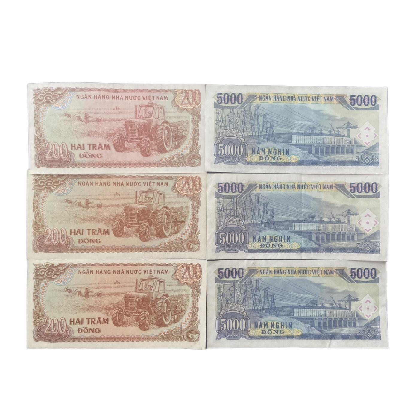 1987-1991越南盾6张