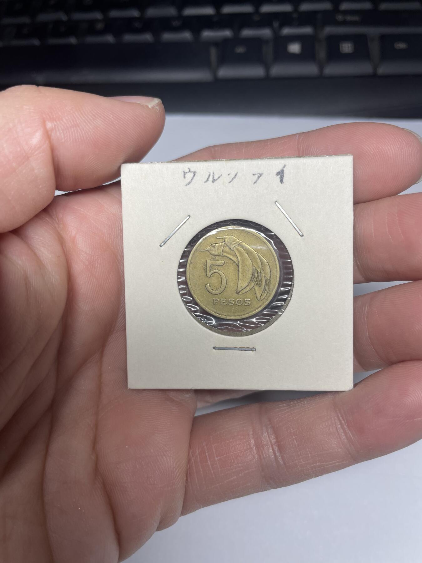 每日一拍，2025年集古藏今外币拍卖第一期-第6场—（总第196拍），可以寄存60天，满160元包邮。 1969年乌拉圭5比索