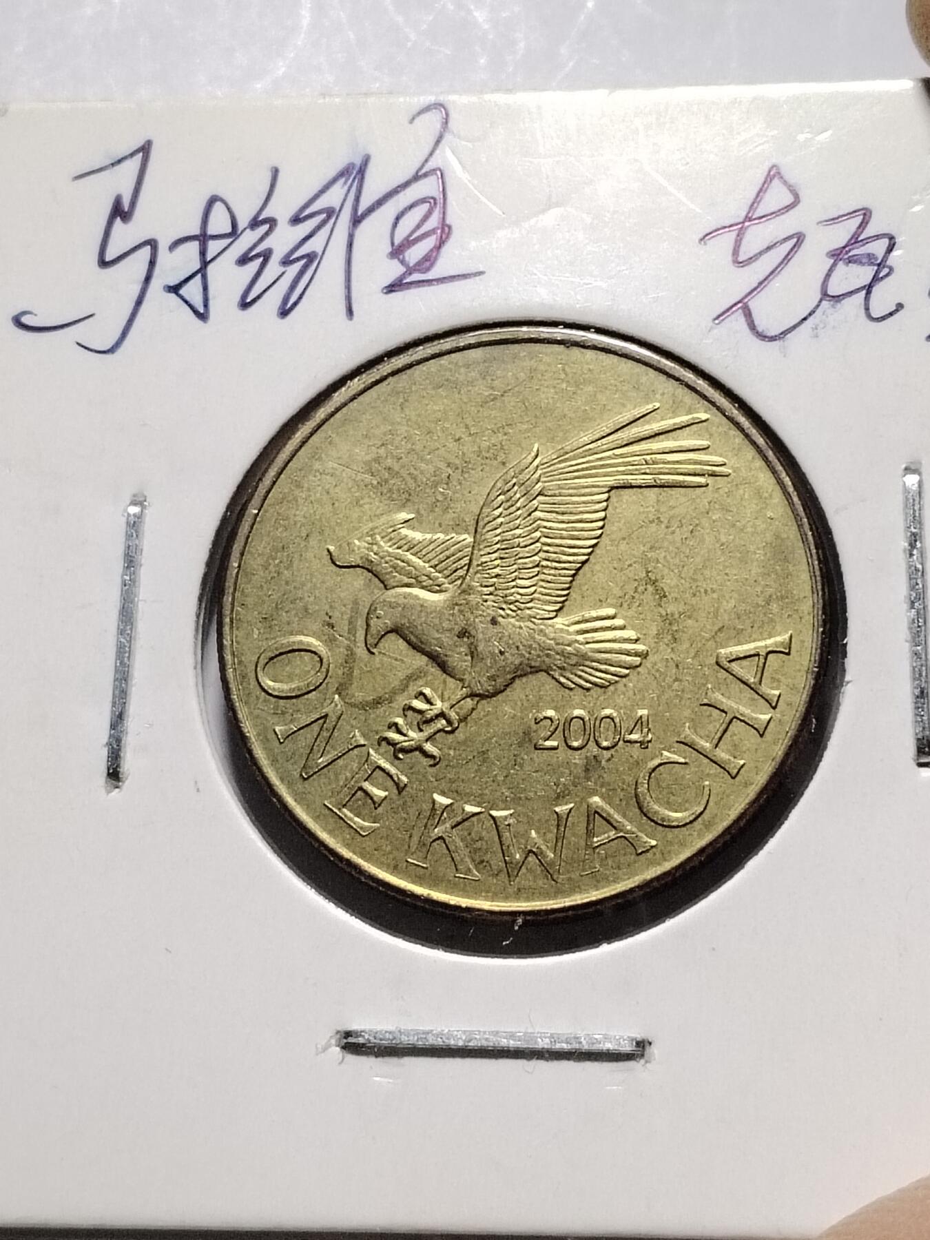 20250119 马拉维