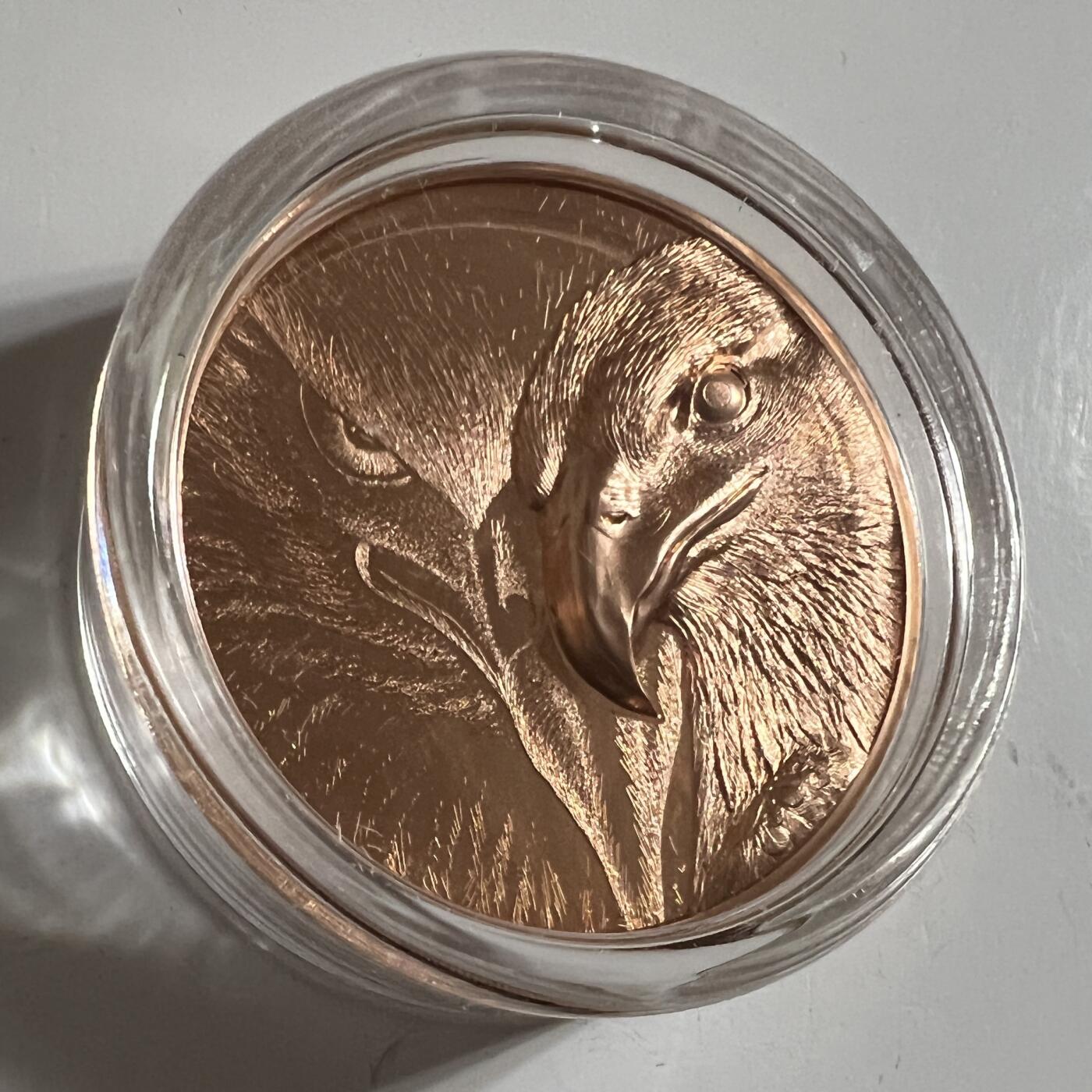 S&S Numismatic世界钱币-拍卖 第114期  蒙古2020年 狂野蒙古-雄鹰 250图格里克高浮雕精制纪念币  带证书