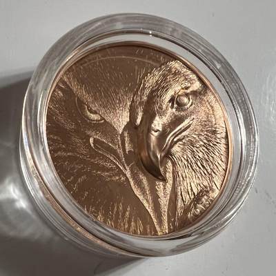 S&S Numismatic世界钱币-拍卖 第126期  蒙古2020年 狂野蒙古-雄鹰 250图格里克高浮雕精制纪念币 