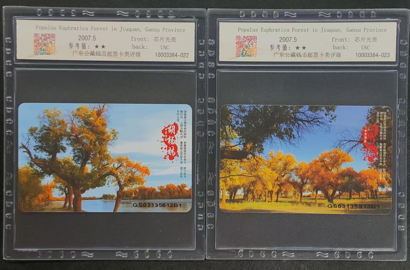 公藏第97期评级卡拍卖 电信IC卡（IC-2007NS14  甘肃酒泉胡杨林）2全甘肃原地版，公藏68分。公藏评级专业有卡号及防伪标。