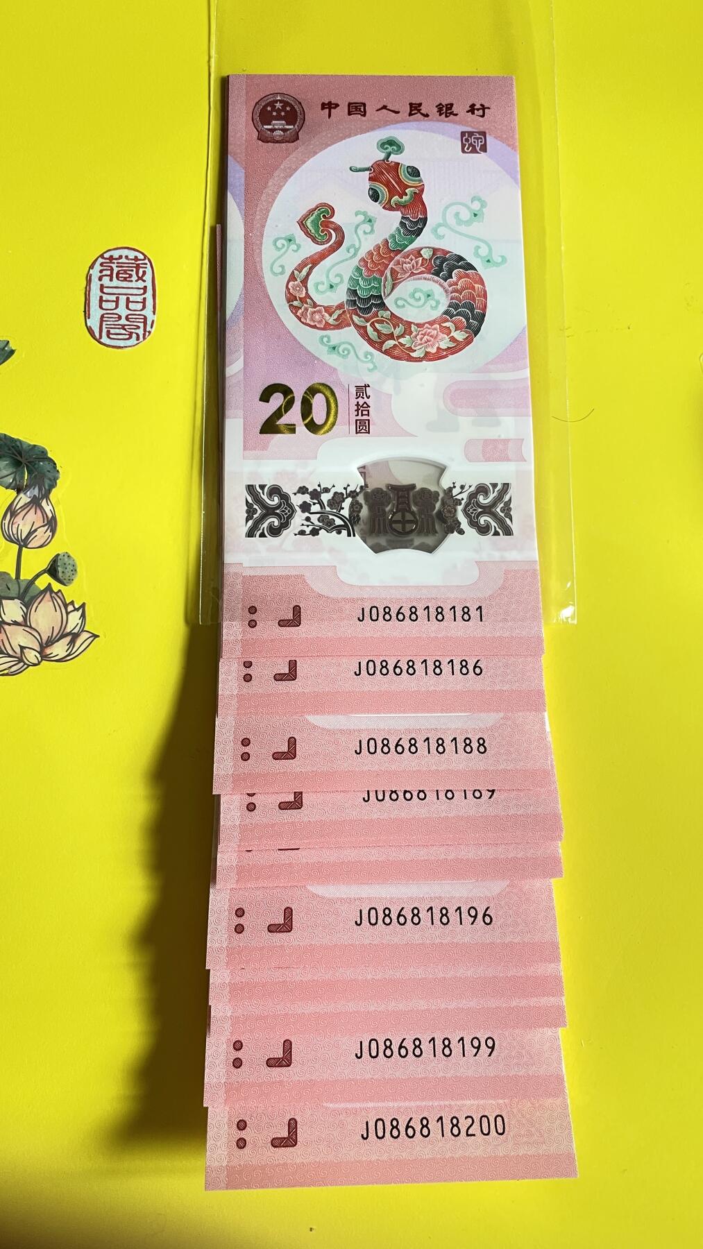 2025年贰拾圆 蛇年贺岁纪念钞【标二十】