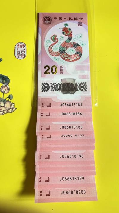 2025年贰拾圆 蛇年贺岁纪念钞【标二十】