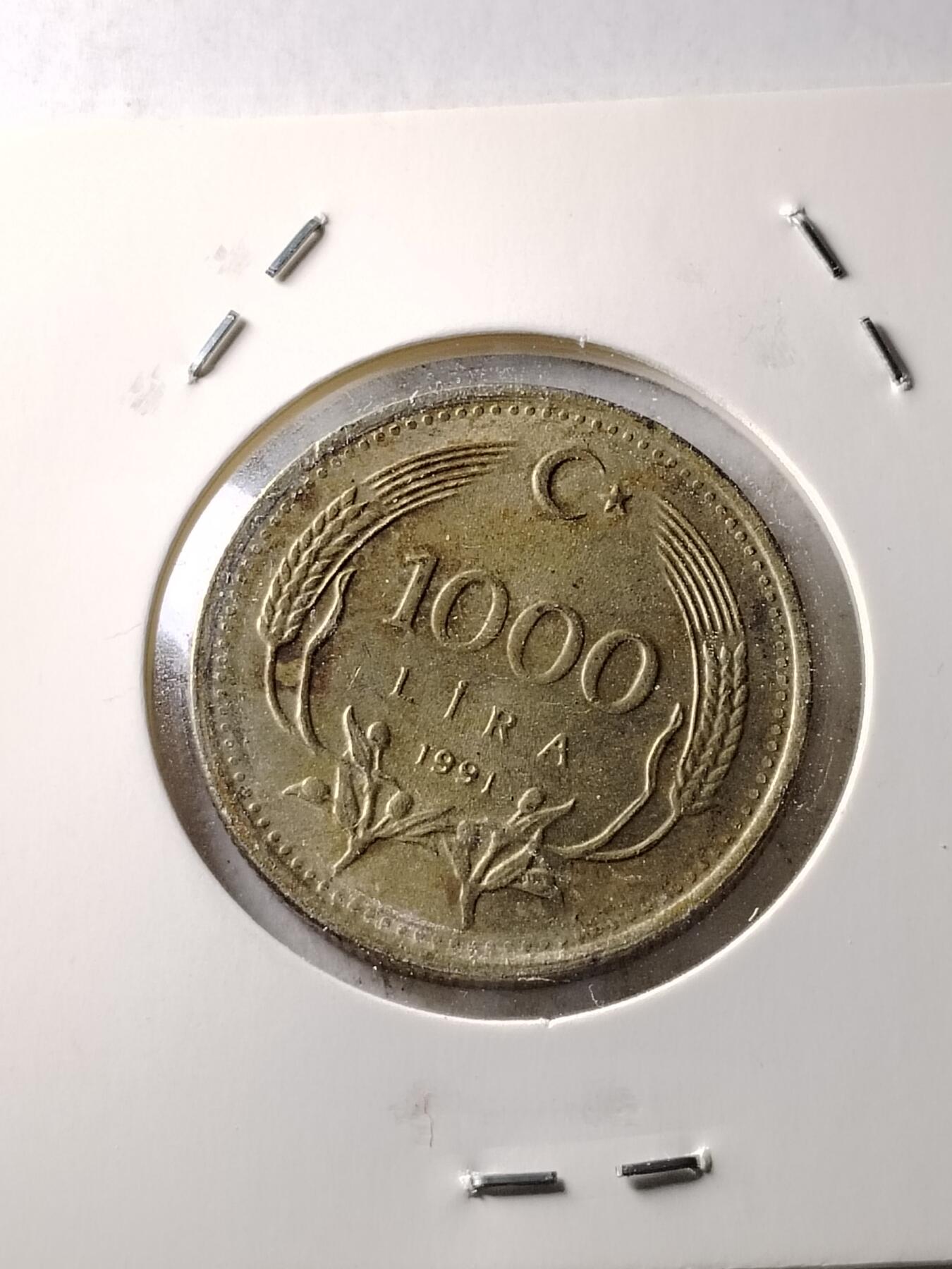 20250120 土耳其
