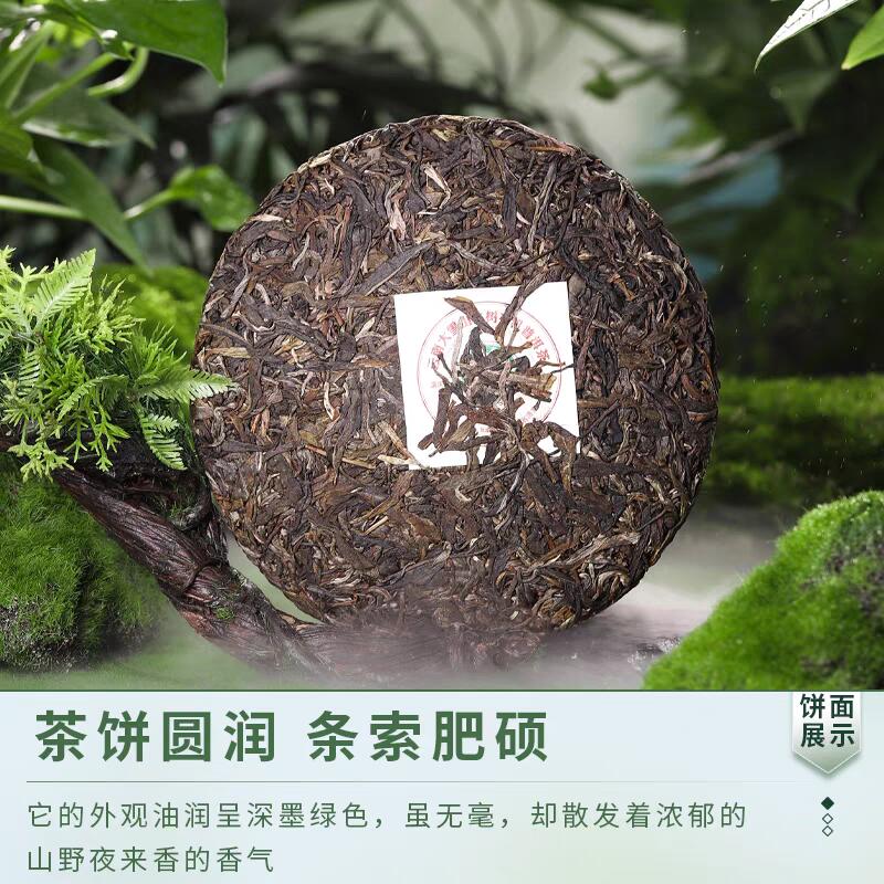 鉴茶有道口粮茶（生茶） 滇庆堂茶叶云南普洱茶生茶饼茶有机古树春茶生普口粮茶七子饼茶叶