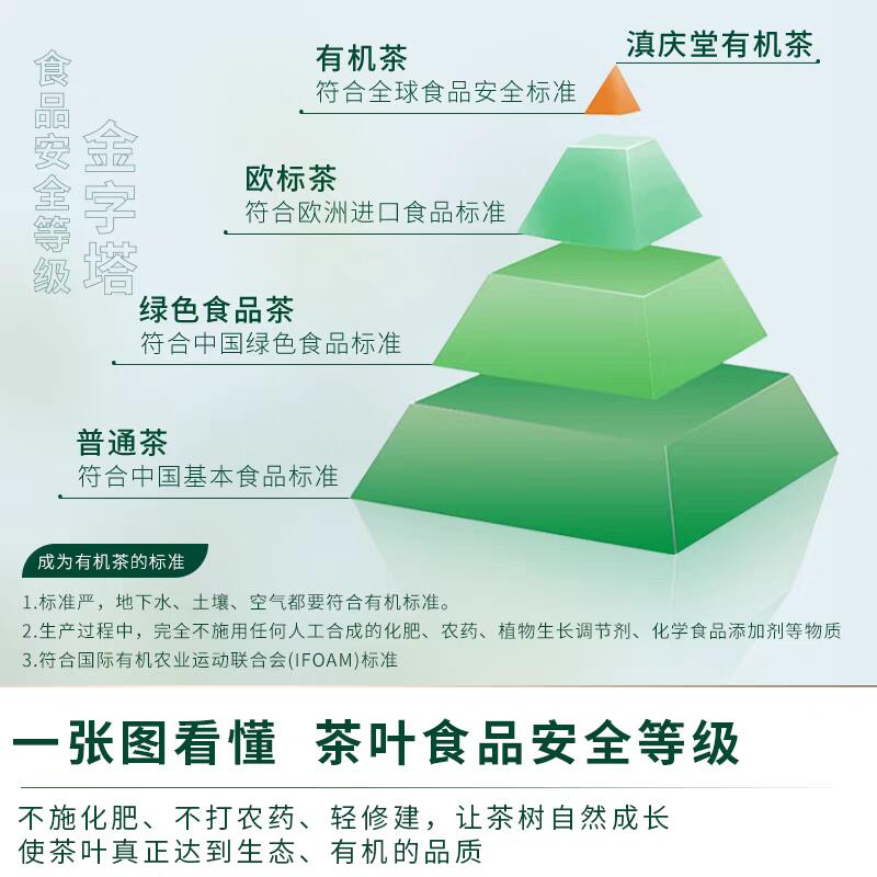 鉴茶有道口粮茶（生茶） 滇庆堂茶叶云南普洱茶生茶饼茶有机古树春茶生普口粮茶七子饼茶叶