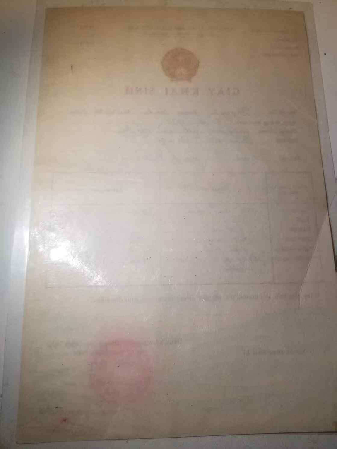 RimeNova韵星2025军品类春季拍卖会-- RimeNova 2025 Spring Militaria Sale 越南民主共和国、社会主义共和国同一天不同政府出生证