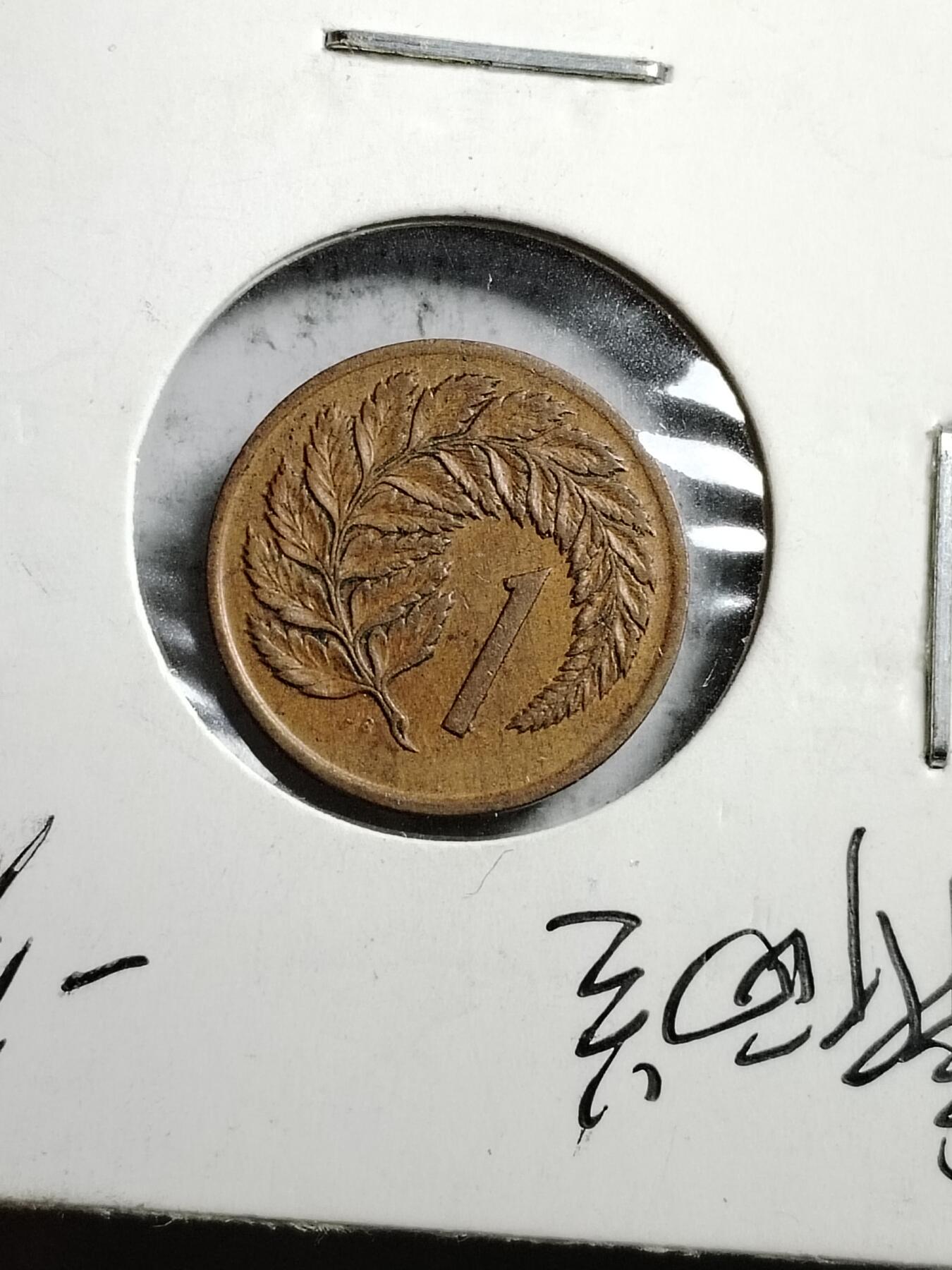 20250124 新西兰