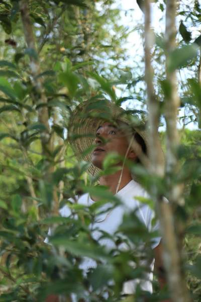 云南农业大学校企合作产品:瑞兔百福 云南农业大学校企合作产品:瑞兔百福