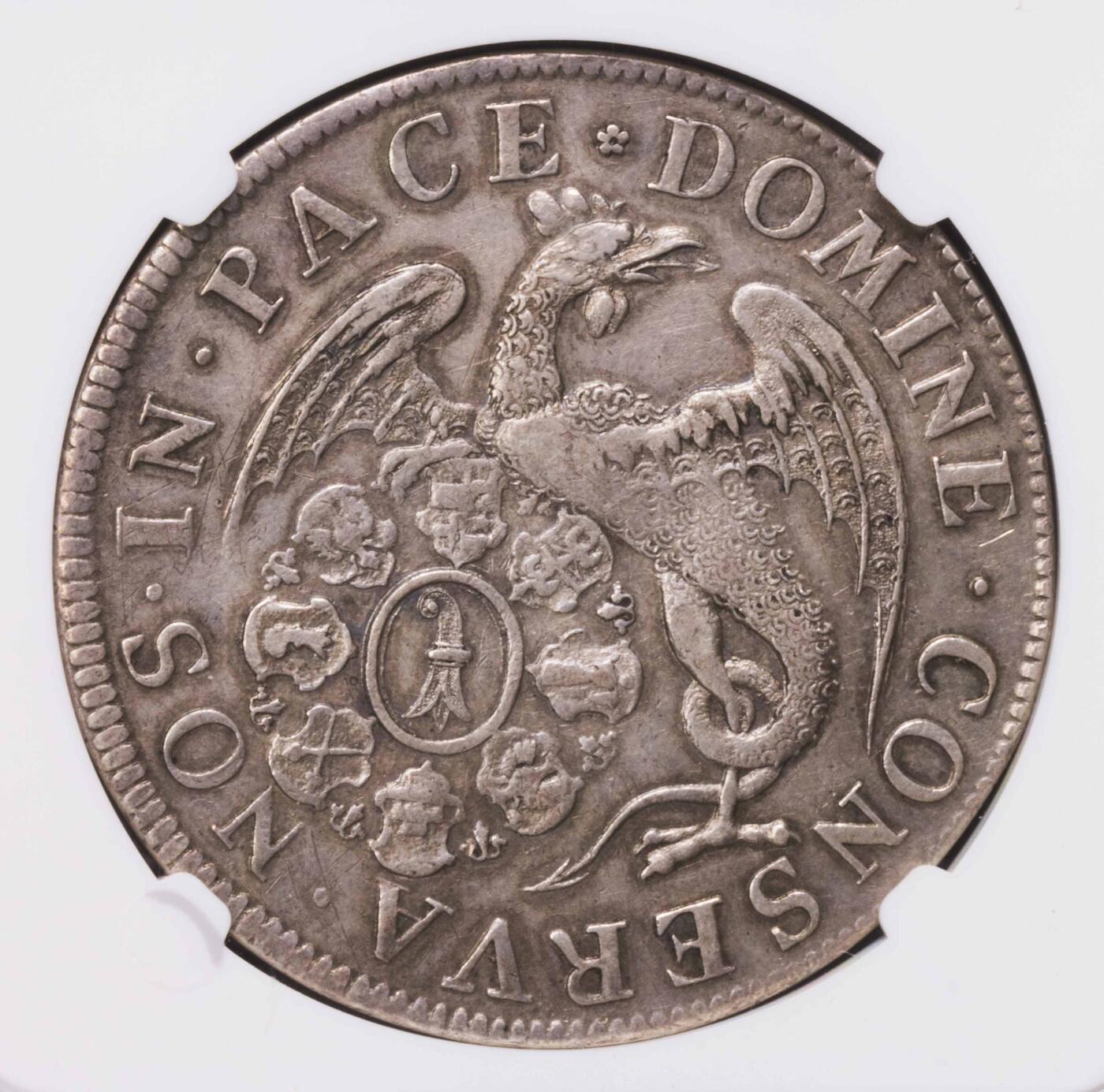 NGC-XFD 1707巴塞尔城市景观泰勒 少见品种