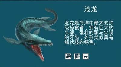 牛蛙牛蛙的白垩纪 - 白垩纪海洋霸主沧龙(Mosasaurus)牙齿与骨骼(图片2-3-4为拍卖物，牙齿3厘米左右，已喷涂化石保护液)
